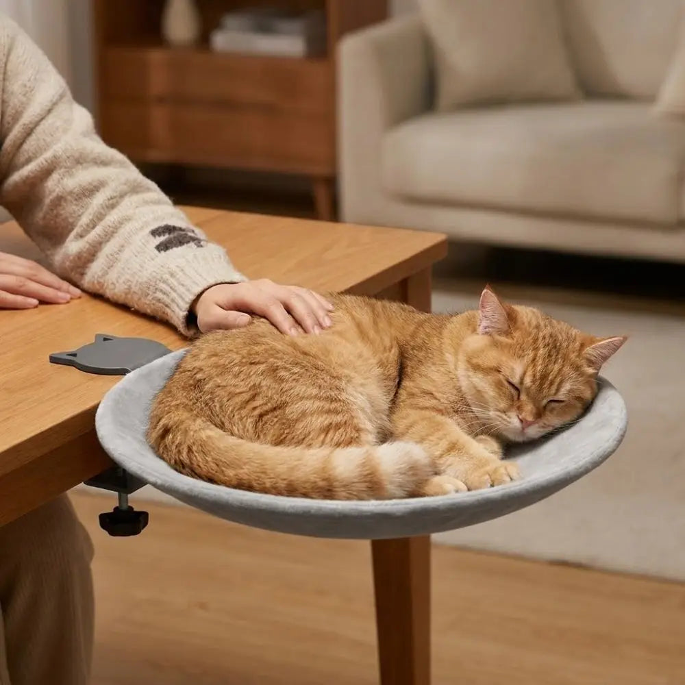 🙀 Cama Colgante para Gatos – El Rincón Favorito de tu Gato en Casa o en la Oficina